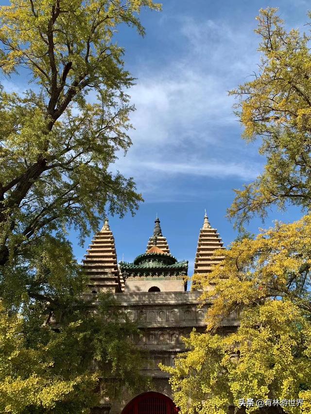 跟著有林遊北京之真覺寺