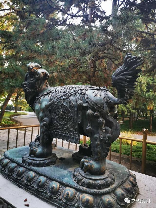 暢觀樓前的一對銅獸 百年前竟然能噴水