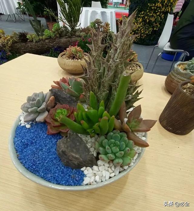 值得参加的园林机械展