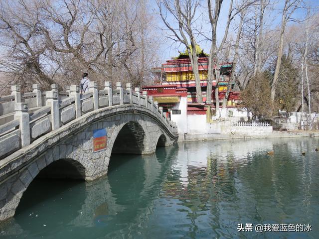 在布達拉宮後面的宗角祿康公園看水鳥能讓您忘記所有的煩惱