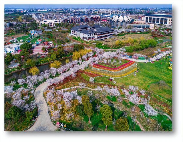 部门团建策划