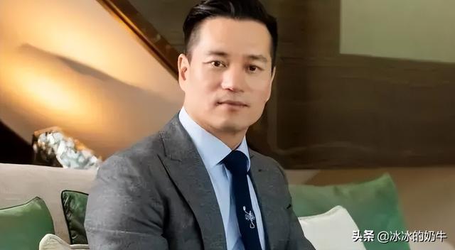 豪门媳妇不容易！老公被抓两个月，安以轩无奈复出，一切从头开始