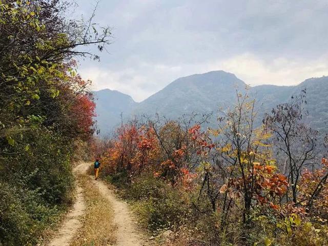 高山之上，秦嶺終南山有個原本熱鬧的空中村落，也許即將永遠消亡
