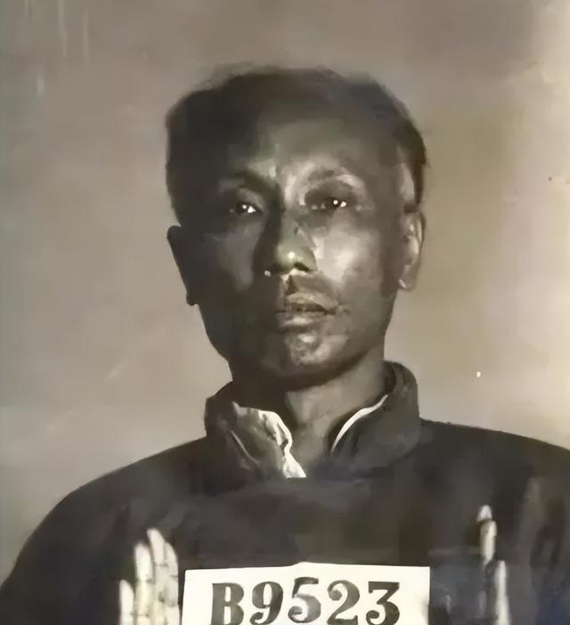 1942年63岁陈独秀病逝,临终前交代妻子:可速改嫁,但唯有一事切记