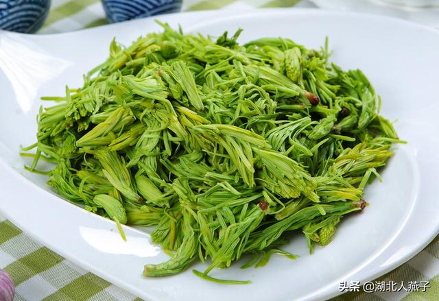 野菜的种类（野菜的种类和图片大全可食用）