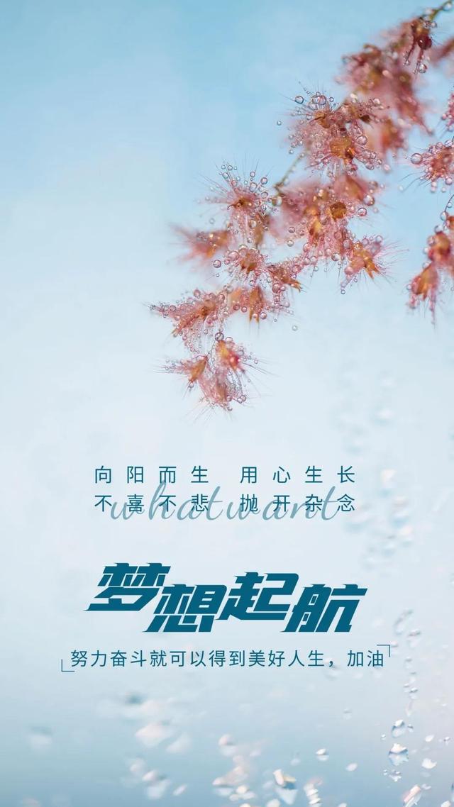 12月10日周五你好，早安心语正能量暖心短句，晚安伴你