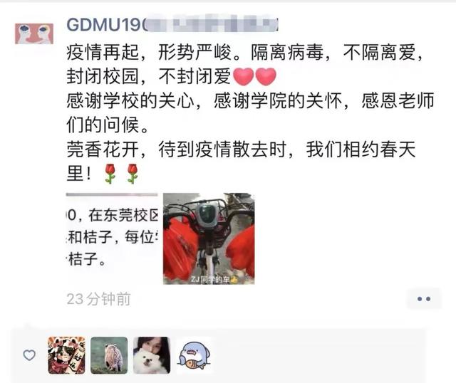 来了！“广东水果大学”“长春发钱大学”“上海流量大学”...