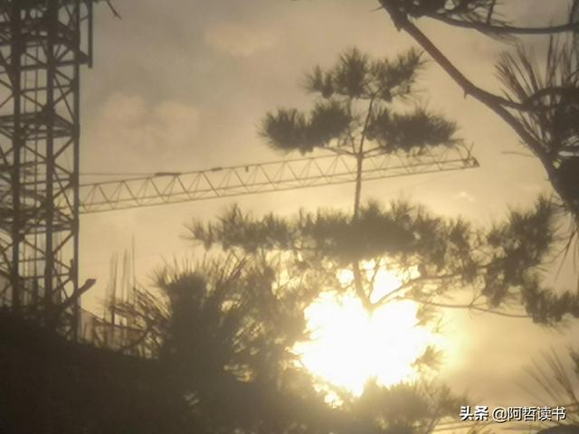 霞光唱晚，落日照松间，夕阳美无限