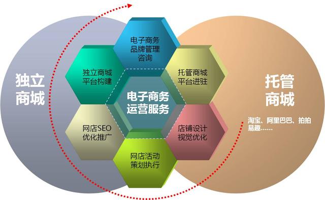 怎样才能做电商运营（电商运营自学全套教程方法有哪些）(2)
