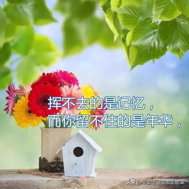 早上起床最火爆的励志早安心灵鸡汤语录，励志心灵鸡汤分享