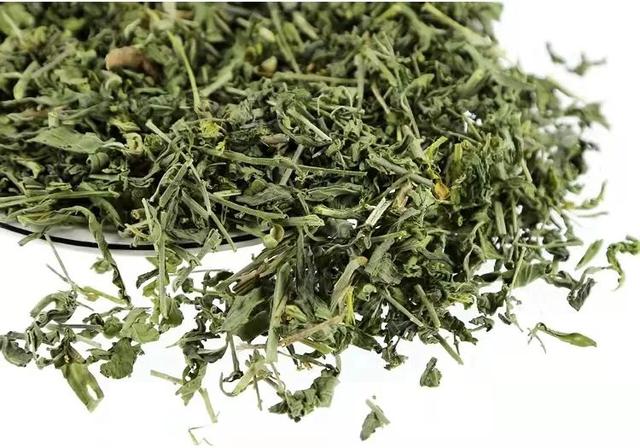 改善风湿关节痛，农村常见的透骨草，号称“活血丹”
