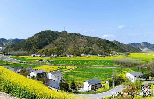 惊艳了！郧阳最美油菜花海藏不住了