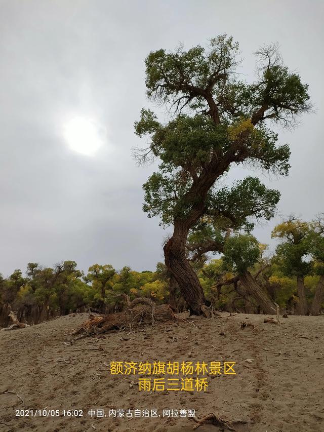 西行漫記之10月5日內蒙古篇