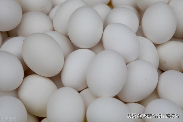 北京涨20元！2022年4月27日鸡蛋价格行情早报