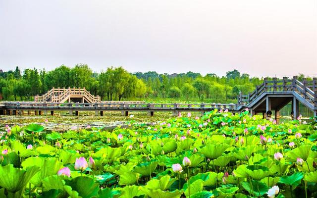 浙江农家乐一览表