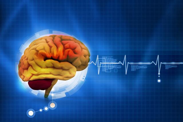 养了个乖女儿的幻觉就是：差点把养边牧的经验，用到了哈士奇身上