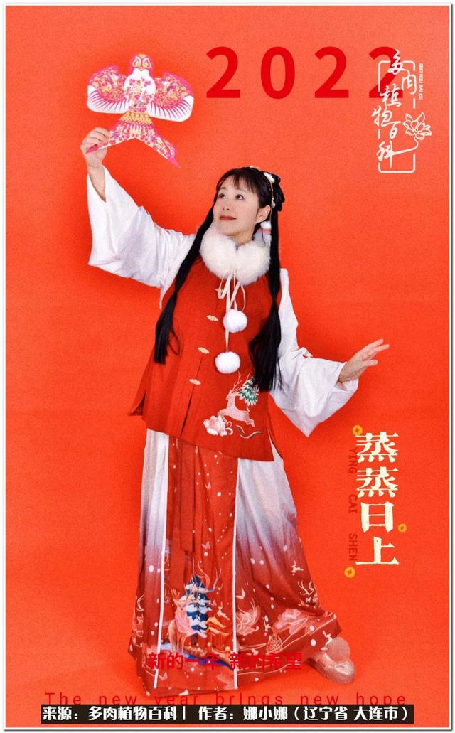 辽宁螺旋洗砂机出售