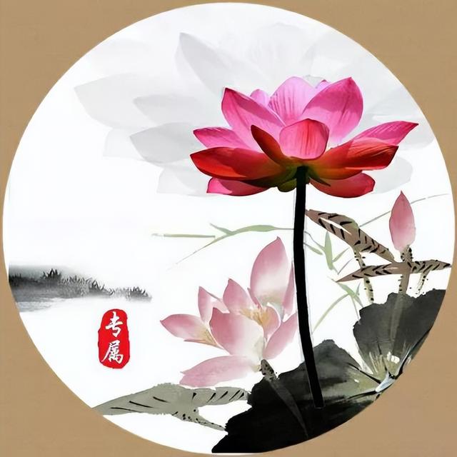 金钱豹转发消息-男人用荷花做头像插图(8)