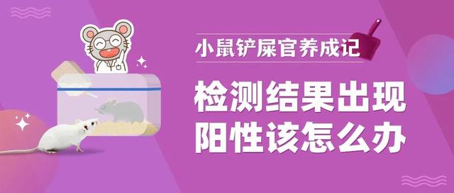 新生儿检查免疫系统阳性是什么意思