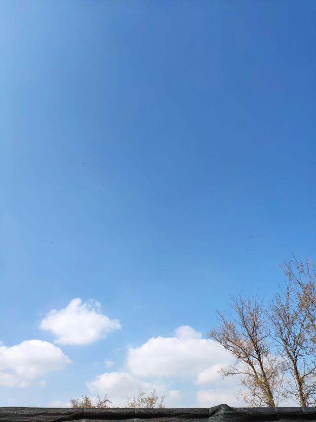 为什么有的人觉得写作太难