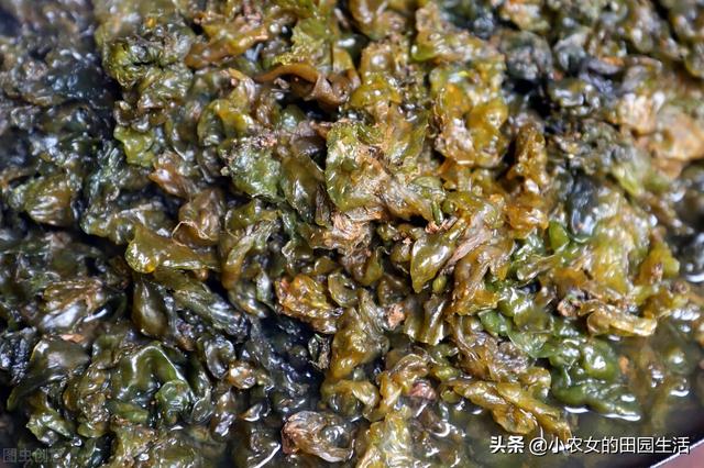 10种“神仙草”，春天采摘正当时，味道鲜美，还有益健康