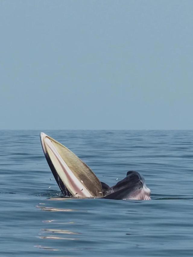 2月国宝级美景 不输瑞士的神秘净土 最早绽放的万亩花海 吃喝玩乐 博亿论坛 地表最火博彩资讯网站 Powered By Discuz