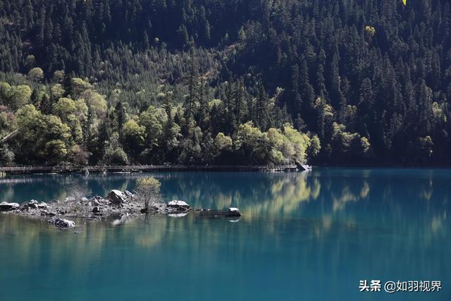九寨溝之蘆葦海