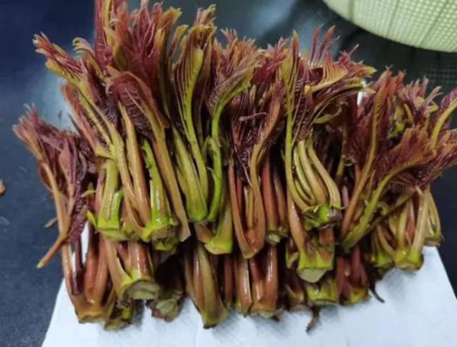医生提醒：7类蔬菜或自带“毒素”，吃前尽量焯水，再懒也别忽视