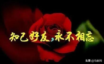 知己朋友，永不相忘