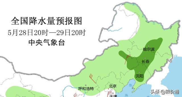 新一轮中到大雨、局地暴雨马上到！4个因素玉米上秋必定高价