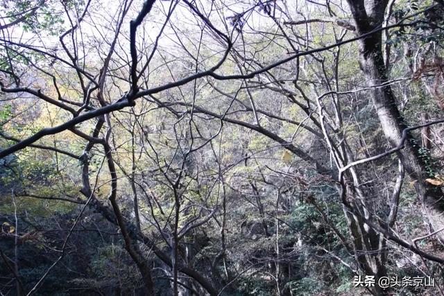 探訪京山的天坑