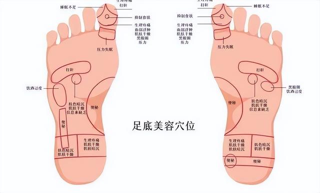 灸“透”一个穴，可以从脚补到头！能灸一定要灸，人人都需要