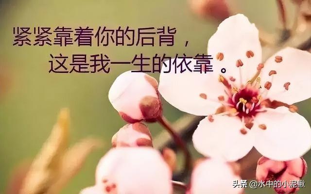 微信早安<a><a>语录</a></a>正能量句子 早安图片激励语