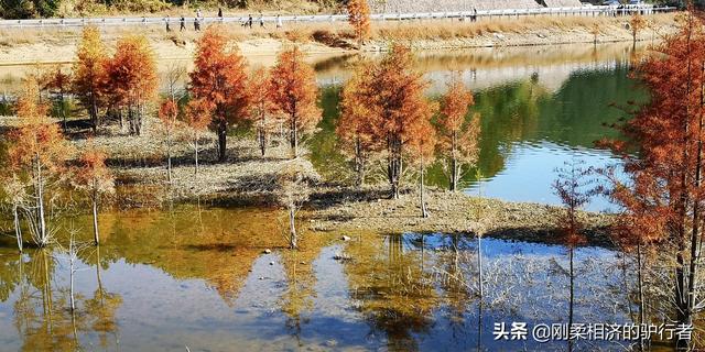 年末了，舉家住到了酒店，爲啥？2021年末我們的隔離生活一