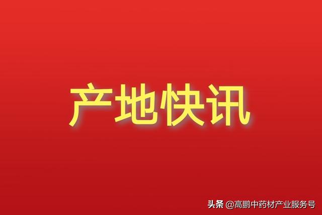 高鹏说药材：2022年2月24日全国各产地药材收购价格行情