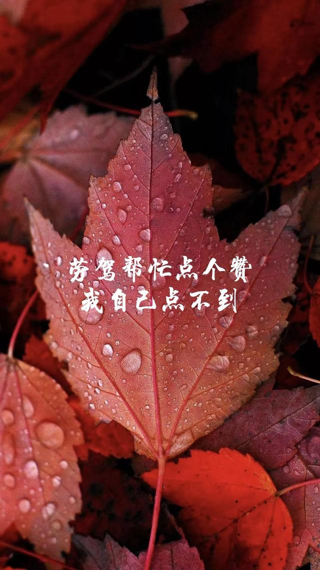 在劫难逃的劫数