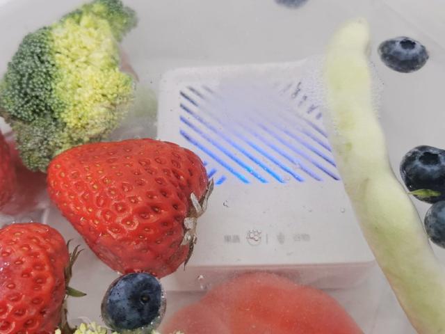 果蔬净化器真的比手洗得更干净？三款热门果蔬净化器对比测评