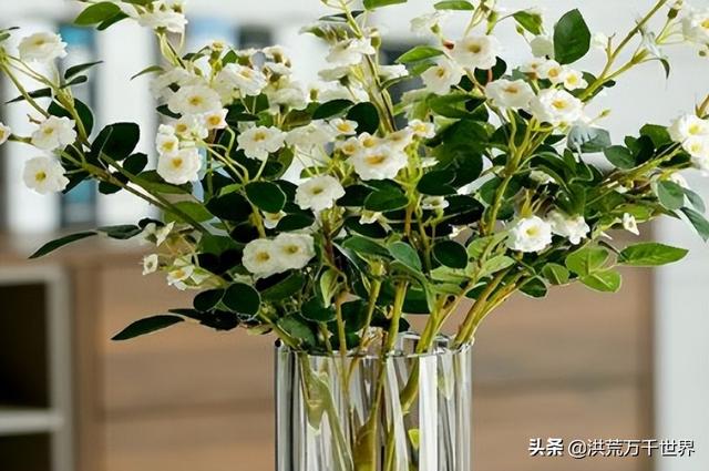 水里加什么可以让鲜花更持久（在水里加什么花能保持新鲜）