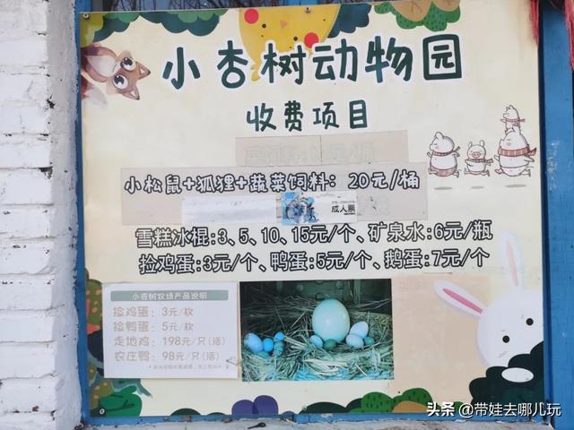 搭帐篷、放风筝、草坪疯跑，山谷里的遛娃宝地，快放入私藏名单