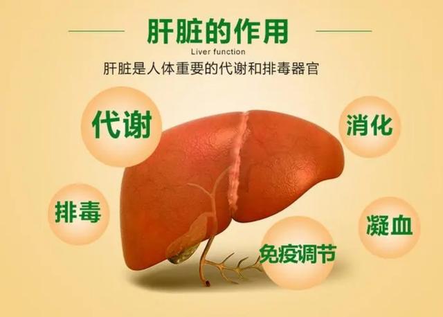 维生素也伤肝，别把这4种维生素当保健品吃，危害你承受不起