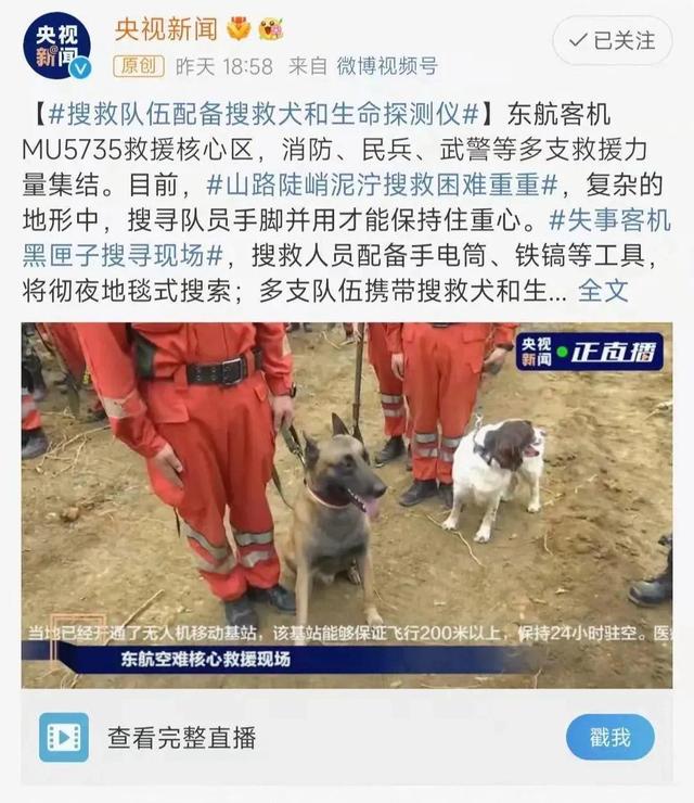 搜救犬有多厉害？为什么要让它参与东航MU5735搜救工作呢？