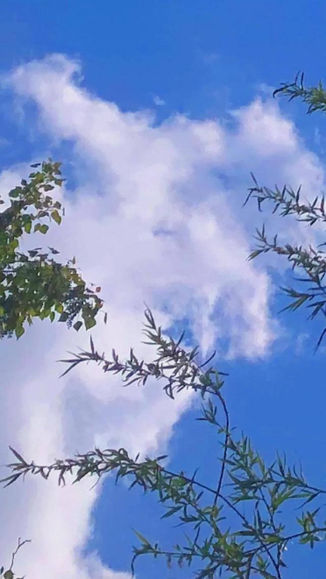 蓝色天空白云飘飘