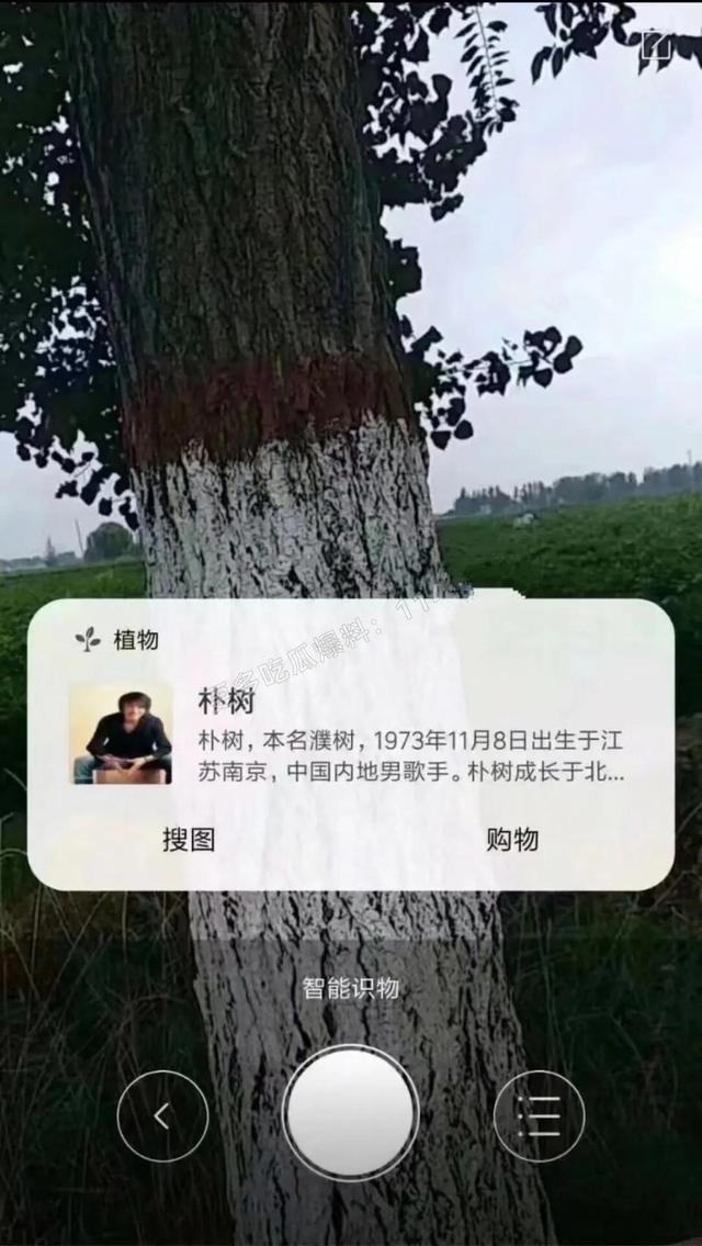 人工智能还是人工智障？