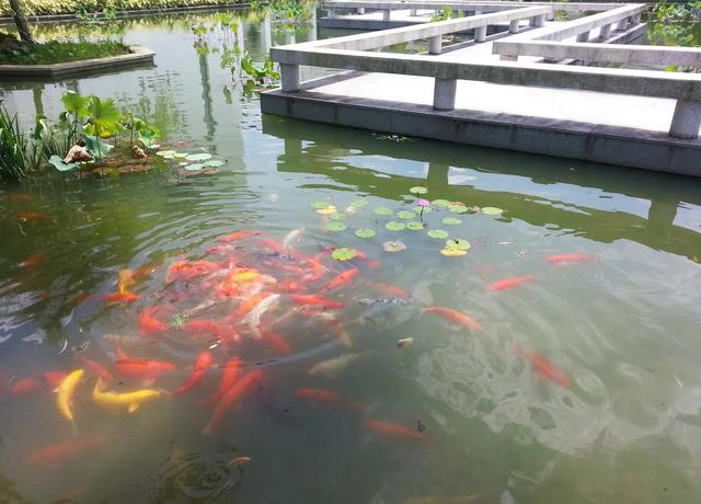 固液过滤机的价格