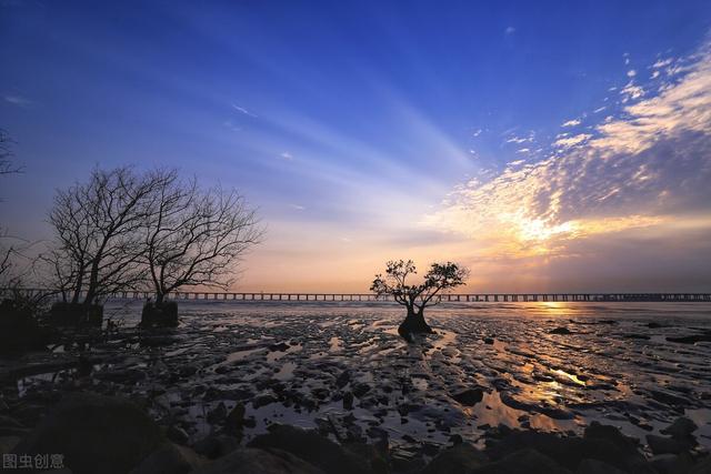 深圳8個免費旅行景點，你去過幾個？