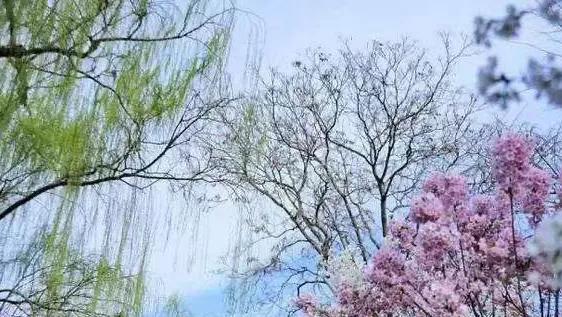 炫耀是自卑、无能和不成熟的表现，真正有实力的人从不炫耀自己