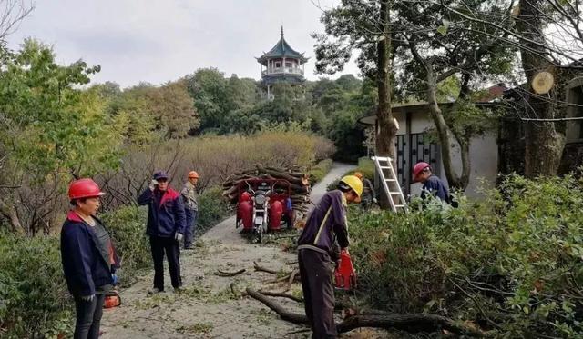 风镐破碎机和岩石破碎机