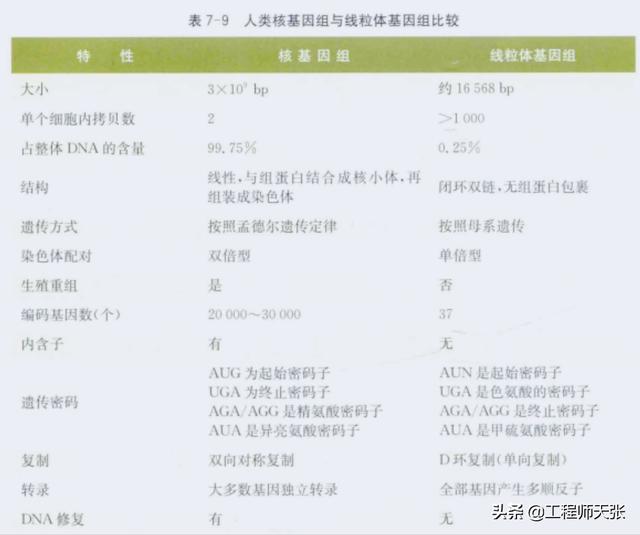 杭州杀妻案细节曝光！常规方法无效，最后线粒体DNA技术锁定证据