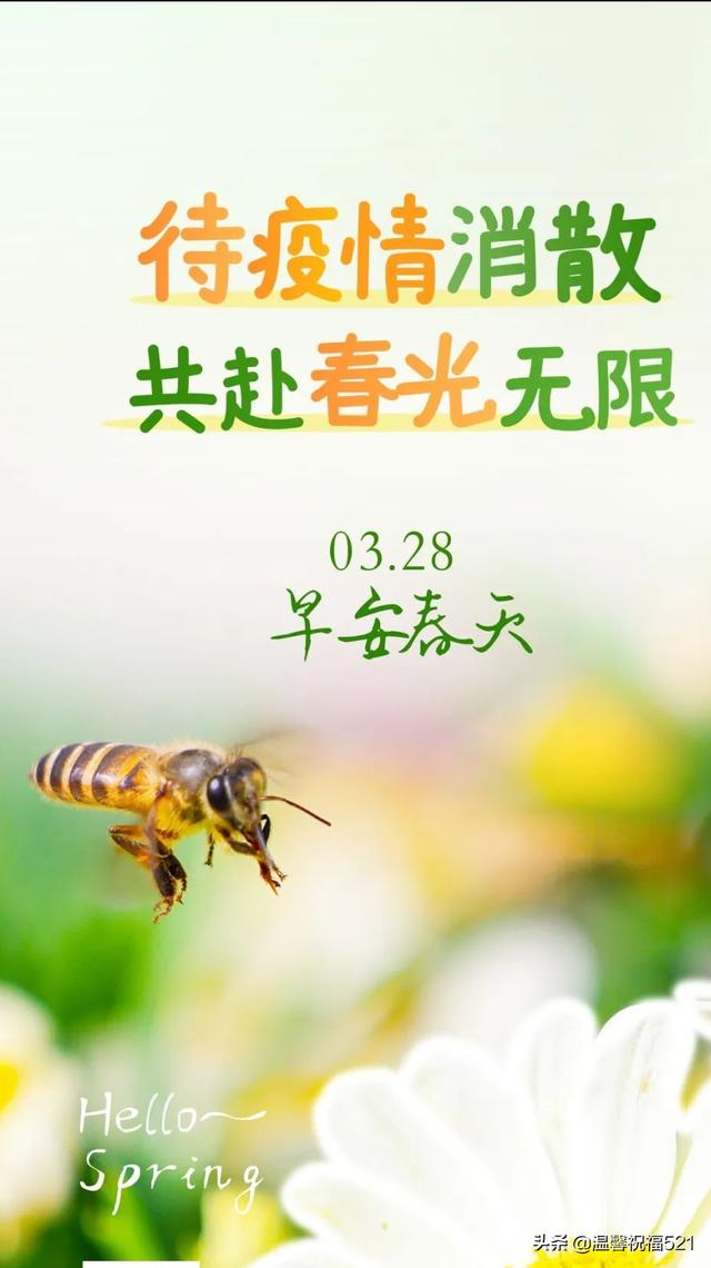 3月28日，星期一，早上好，新的一周开始了