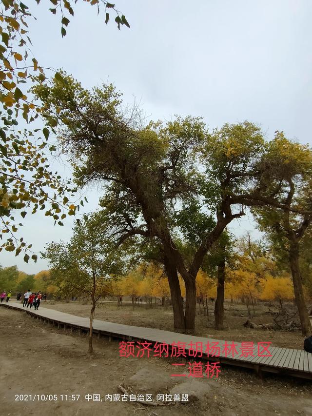 西行漫記之10月5日內蒙古篇